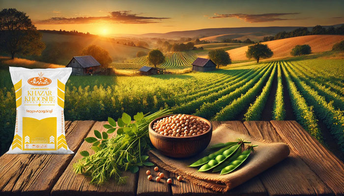 خرید آرد نخودچی درجه یک خزرخوشه