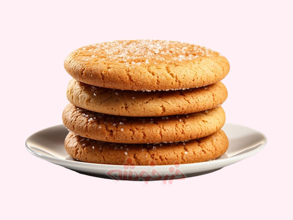 cookie-snickerdoodle_khazarkhooshe_img-01-w600h450-bg