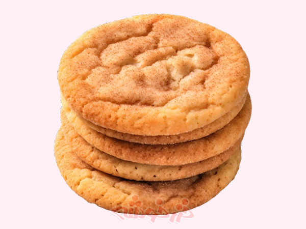 cookie-snickerdoodle_khazarkhooshe_img-02-w600h450-bg