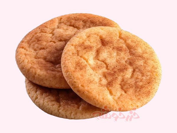 cookie-snickerdoodle_khazarkhooshe_img-03-w600h450-bg