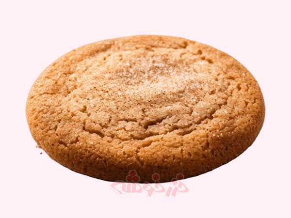 cookie-snickerdoodle_khazarkhooshe_img-04-w600h450-bg