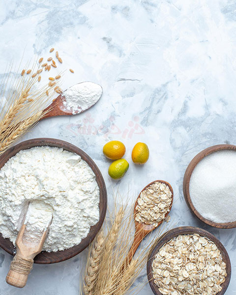 barley-flour_khazarkhooshe_img-w480h600-01