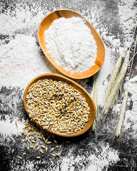 barley-flour_khazarkhooshe_img-w480h600-02