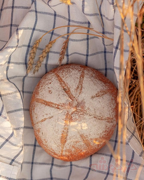 bread-wheat-flour_khazarkhooshe_img-w480h600-06