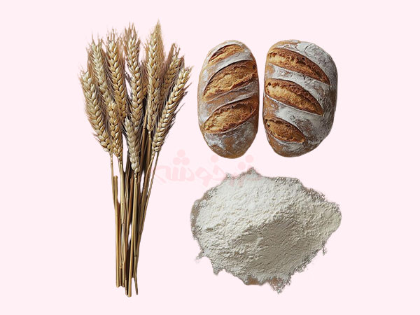 bread-wheat-flour_khazarkhooshe_img-w600h450-04