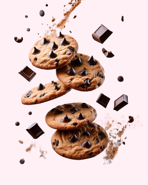cookie-chocolate_khazarkhooshe_img-w480h600-01