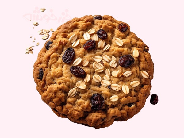 cookie-oatmeal-raisin_khazarkhooshe_img-w600h450-04