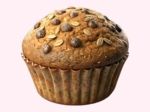 muffin-oat-chocolate_khazarkhooshe_img-w600h450-04