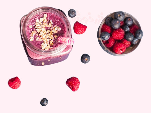 oatmeal-fruit-smoothie_khazarkhooshe_img-w600h450-03