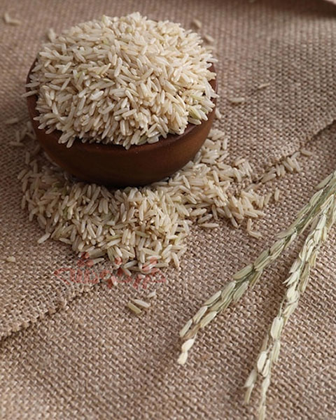 rice-steaming-tips_khazarkhooshe_img-w480h600-03